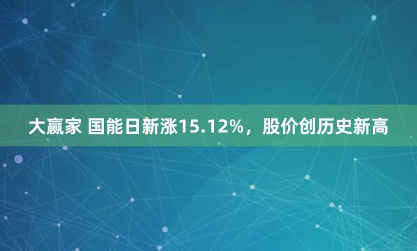 大赢家 国能日新涨15.12%，股价创历史新高