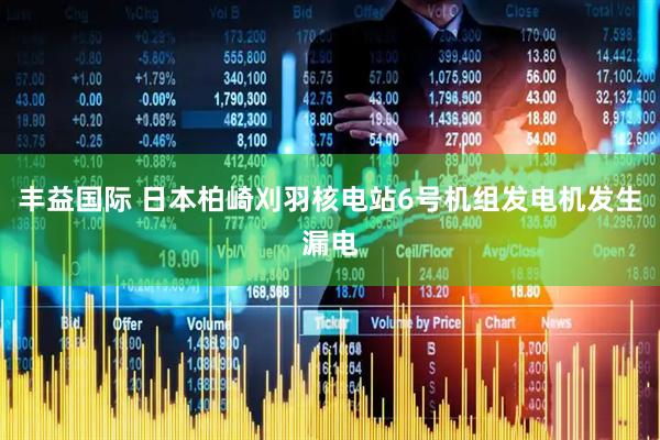 丰益国际 日本柏崎刈羽核电站6号机组发电机发生漏电