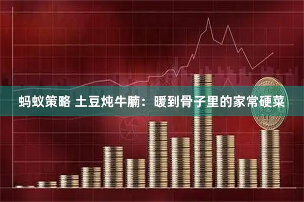 蚂蚁策略 土豆炖牛腩：暖到骨子里的家常硬菜