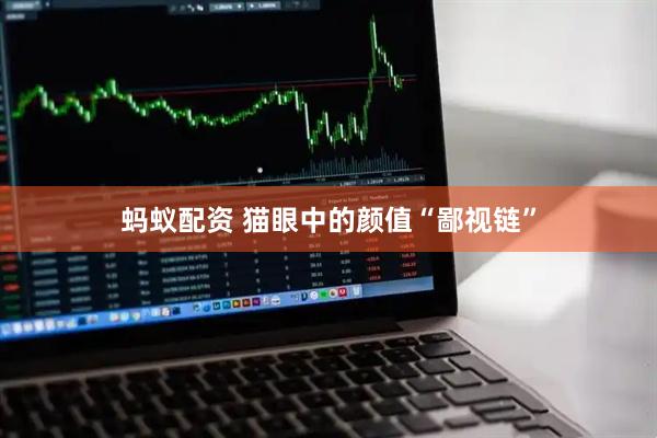 蚂蚁配资 猫眼中的颜值“鄙视链”