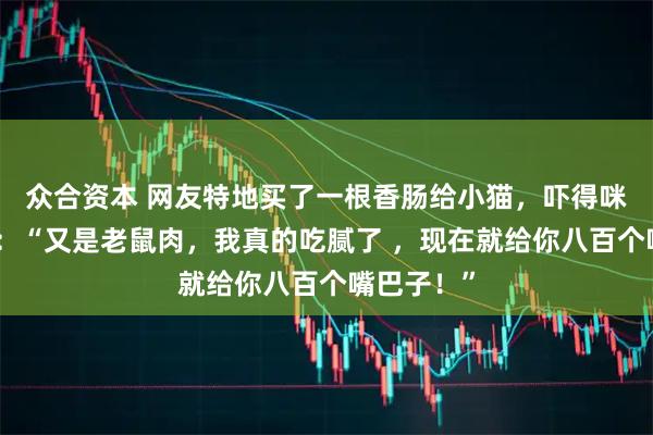 众合资本 网友特地买了一根香肠给小猫，吓得咪连忙拒绝：“又是老鼠肉，我真的吃腻了 ，现在就给你八百个嘴巴子！”