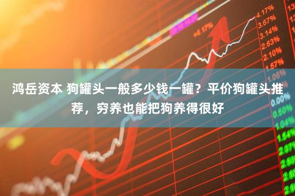 鸿岳资本 狗罐头一般多少钱一罐？平价狗罐头推荐，穷养也能把狗养得很好