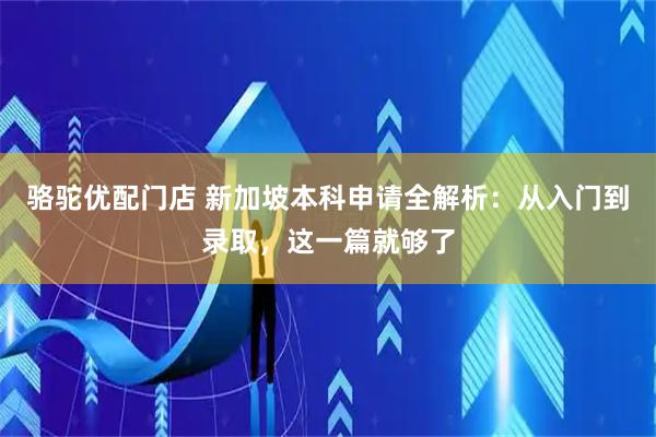 骆驼优配门店 新加坡本科申请全解析：从入门到录取，这一篇就够了