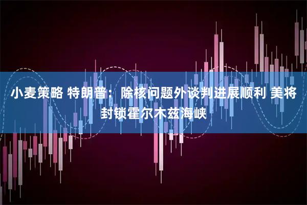 小麦策略 特朗普：除核问题外谈判进展顺利 美将封锁霍尔木兹海峡
