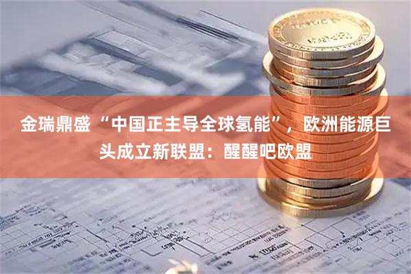 金瑞鼎盛 “中国正主导全球氢能”，欧洲能源巨头成立新联盟：醒醒吧欧盟