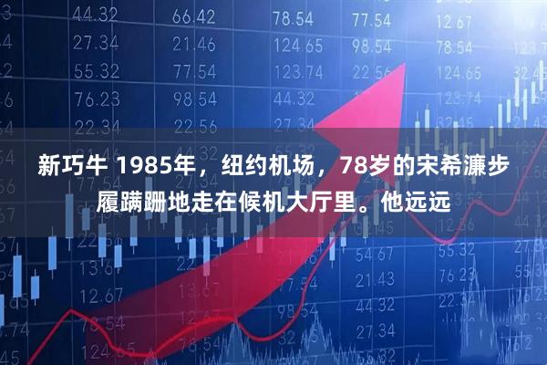 新巧牛 1985年，纽约机场，78岁的宋希濂步履蹒跚地走在候机大厅里。他远远