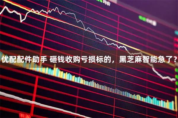 优配配件助手 砸钱收购亏损标的，黑芝麻智能急了？