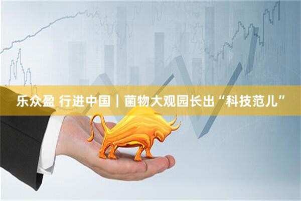 乐众盈 行进中国|菌物大观园长出“科技范儿”
